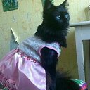 ���� ***Milagros***, ��������� - ��������� 24 ������ 2017 � ������ ���� ����������