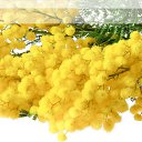  Gojko, -, 72  -  8  2018    