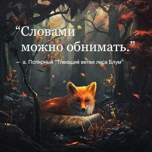 =Fox= - 24  2018  23:41