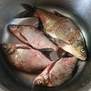 ���� �������, ������, 61 ��� - ��������� 27 ��� 2018