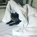 ���� Canpod, ������, 40 ��� - ��������� 25 ����� 2018 � ������ ������ ��������