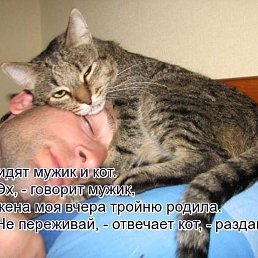 ���� ������, ������ - ��������� 17 ��� 2018
