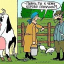 ���� ����, ���������, 40 ��� - ��������� 23 ������ 2017 � ������ ������ ��������