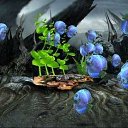 ���� ��� ��, ���������, 50 ��� - ��������� 5 ����� 2018