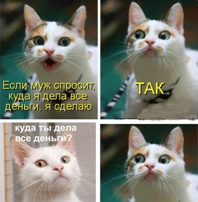 Кот с ресницами мем