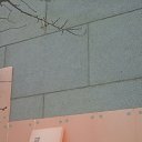 ���� ��������, ������, 40 ��� - ��������� 21 ������� 2017 � ������ ���� ����������