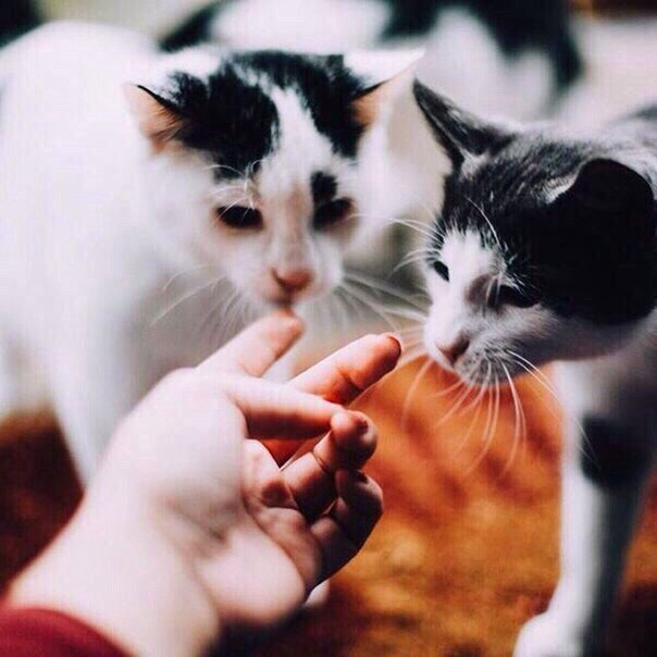       - 16  2018  04:07 - 2