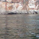 ���� �������, ������� - ��������� 28 ������ 2017 � ������ ��������