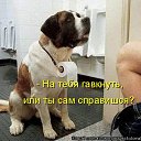 ���� �������� (�� ��������), �����������, 56 ��� - ��������� 20 ������� 2018 � ������ ���� ����������