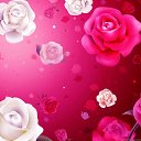 ���� Zita ***, �������, 51 ��� - ��������� 26 ������ 2018 � ������ ���� ����������