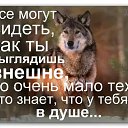 ���� Alekcandr, ������ - ��������� 8 ������ 2018 � ������ �������� ��������