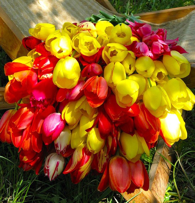 L(oO)k... 🌏 - 10  2018  10:50