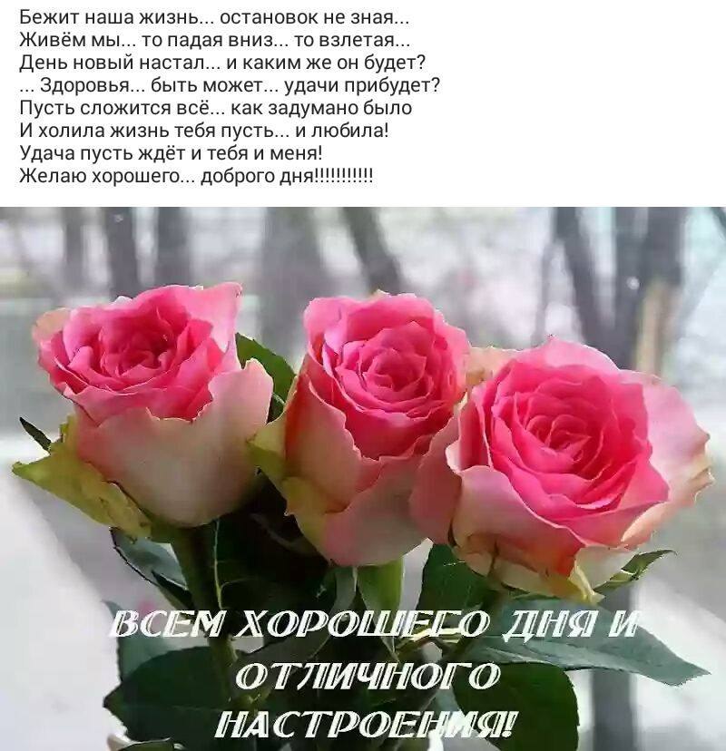 ��� ���� - 5 ��� 2018 � 13:40