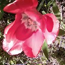 ���� ��������, �����-���������, 67 ��� - ��������� 12 ���� 2018 � ������ ���� ����������