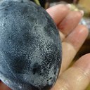 ���� �������, �������, 63 ���� - ��������� 1 ������� 2017 � ������ ��������