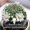 ���� ����, ������ - ��������� 25 ������� 2018 � ������ ���� ����������