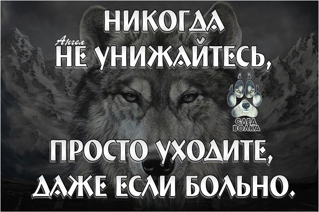 Единожды предав – предаст не раз, Единожды солгав – солжет и дважды, Хоть ложь не выставляют на ...