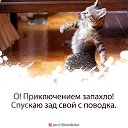  ,  -  9  2018    