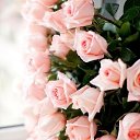 ���� Bella, �������, 51 ��� - ��������� 23 ������� 2017 � ������ ���� ����������