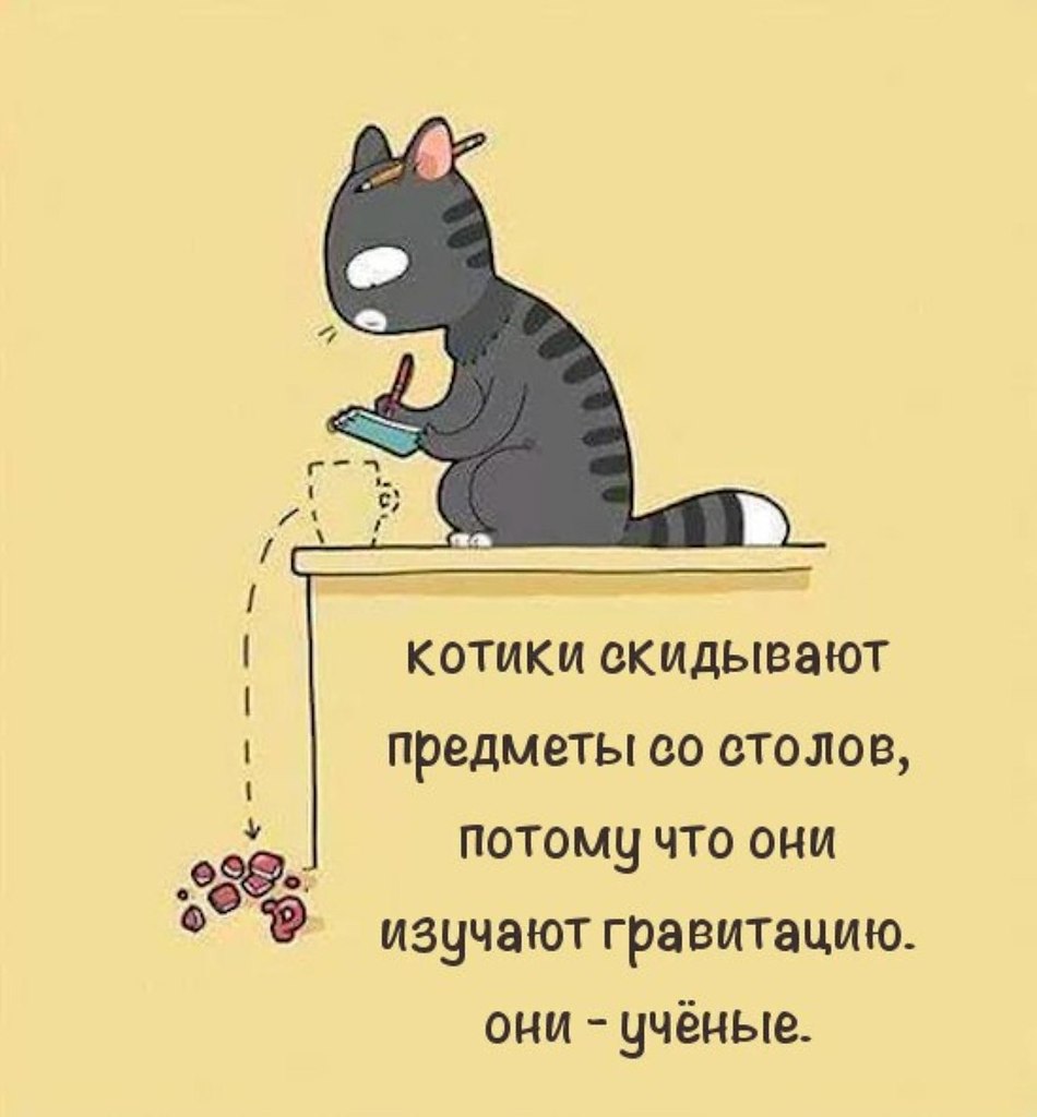 - 22  2018  04:06