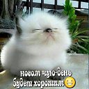 ���� �����, ����������� - ��������� 5 ���� 2018 � ������ ���� ����������