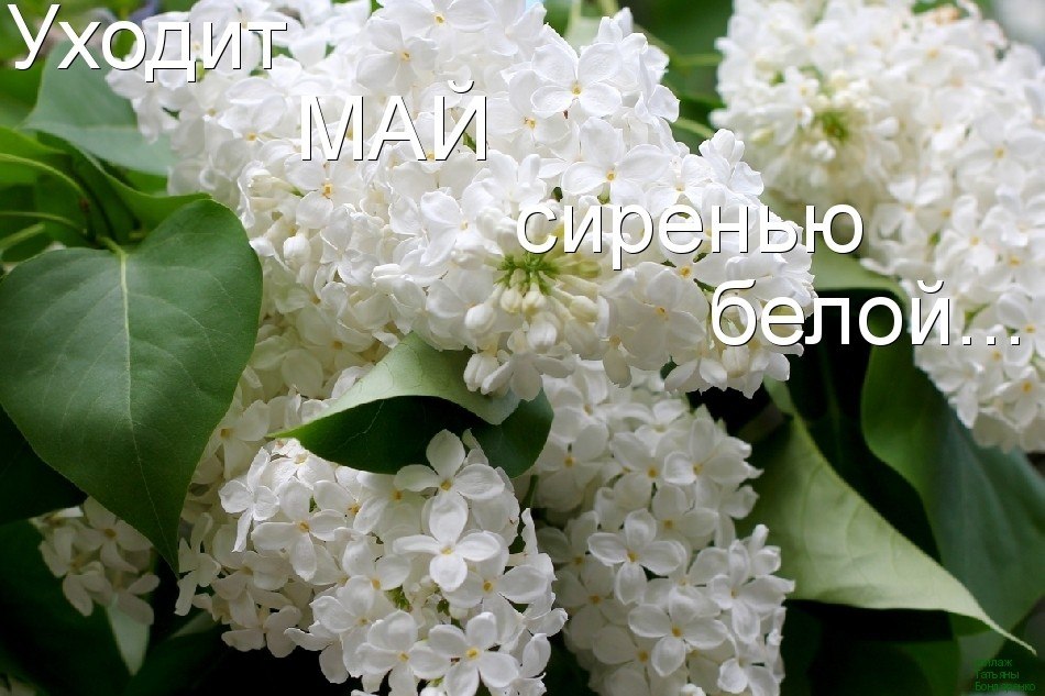 ,     !     ,      ...