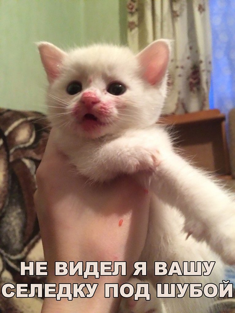    :D - 7  2018  03:58