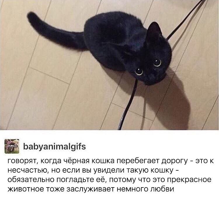       - 4  2018  03:53
