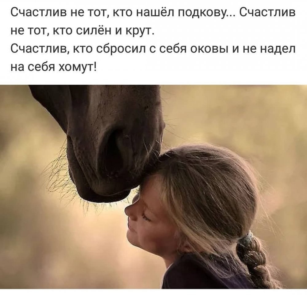   - 10  2018  03:48