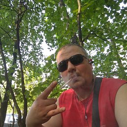 ���� ���������, ���������, 42 ���� - ��������� 4 ���� 2018