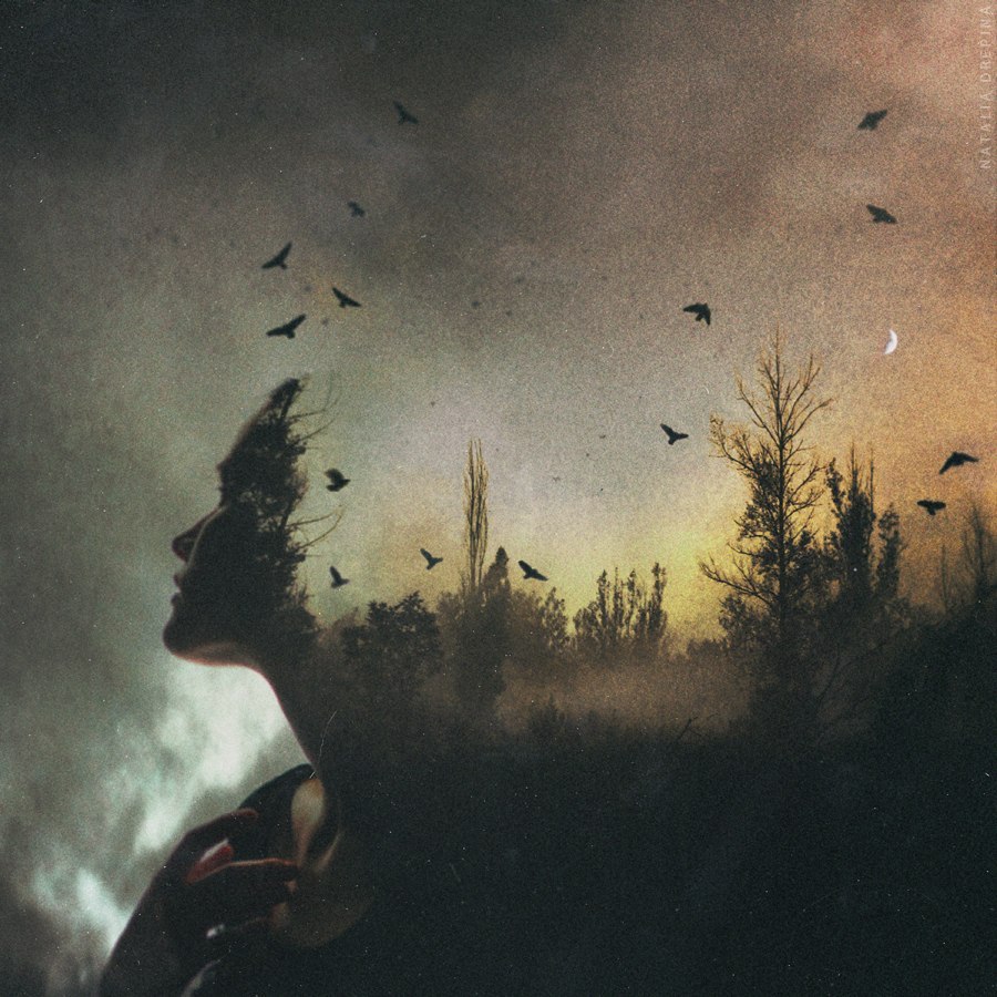 ***    ,  ***.   , ,     . ...