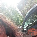  999, , 45  -  11  2018    