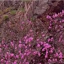 ���� Aleks, ���������, 65 ��� - ��������� 7 ��� 2018 � ������ ���� ����������