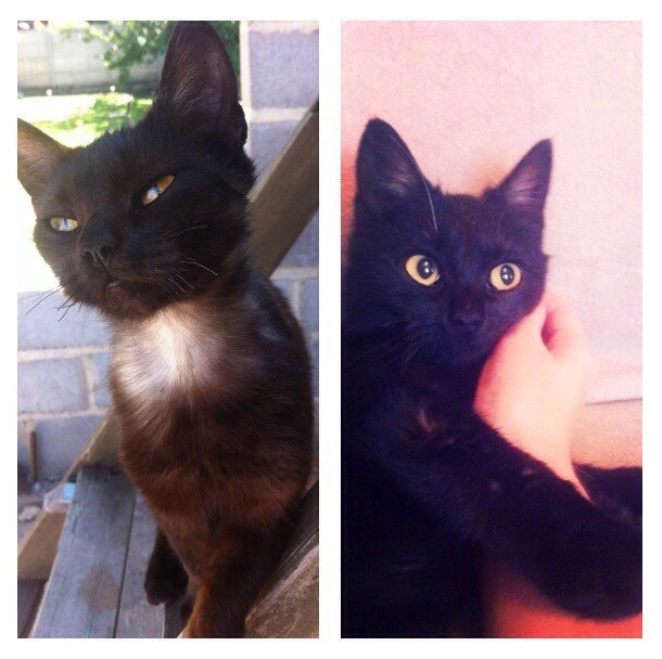 #�������_�����.��������� ��� ����� 