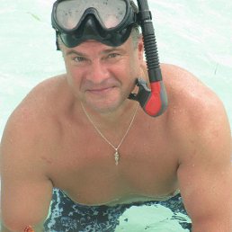 ����, �����-���������, 51 ���