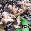 ���� �������, ������� - ��������� 22 ������ 2018 � ������ ������ ��������