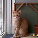 ��� ������ �� ������� ���� ����������