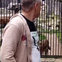 ���� ����, �����������, 52 ���� - ��������� 8 ������ 2018 � ������ ���� ����������