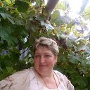 ���� ��������, ������, 61 ��� - ��������� 29 ���� 2018 � ������ ���� ����������