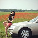 ���� �����, ���������, 41 ��� - ��������� 14 ������ 2018 � ������ ���� ����������