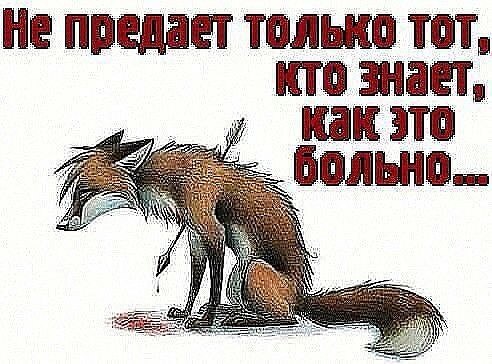  *Sivov * - 10  2018  15:42