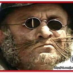 ���� �������, ����, 93 ���� - ��������� 15 ������ 2018