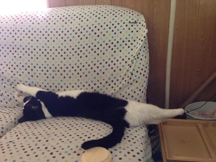 ��� � ������ ��������� ������� � ���� ������ ����������� ���������� ������� (������� ����������, ... - 5