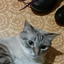 ���� Olga, ������, 67 ��� - ��������� 4 ���� 2018 � ������ ���� ����������