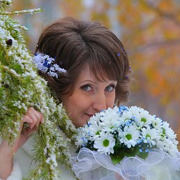 �����, ������, 40 ���