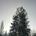 ���� �������������, �����, 53 ���� - ��������� 28 ���� 2018 � ������ ���� ����������