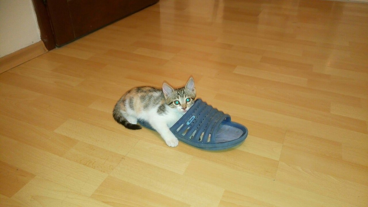 #_.        ,      ... - 2