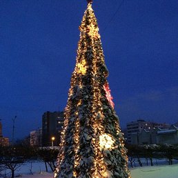 ���� ���, �����, 39 ��� - ��������� 19 ������� 2017