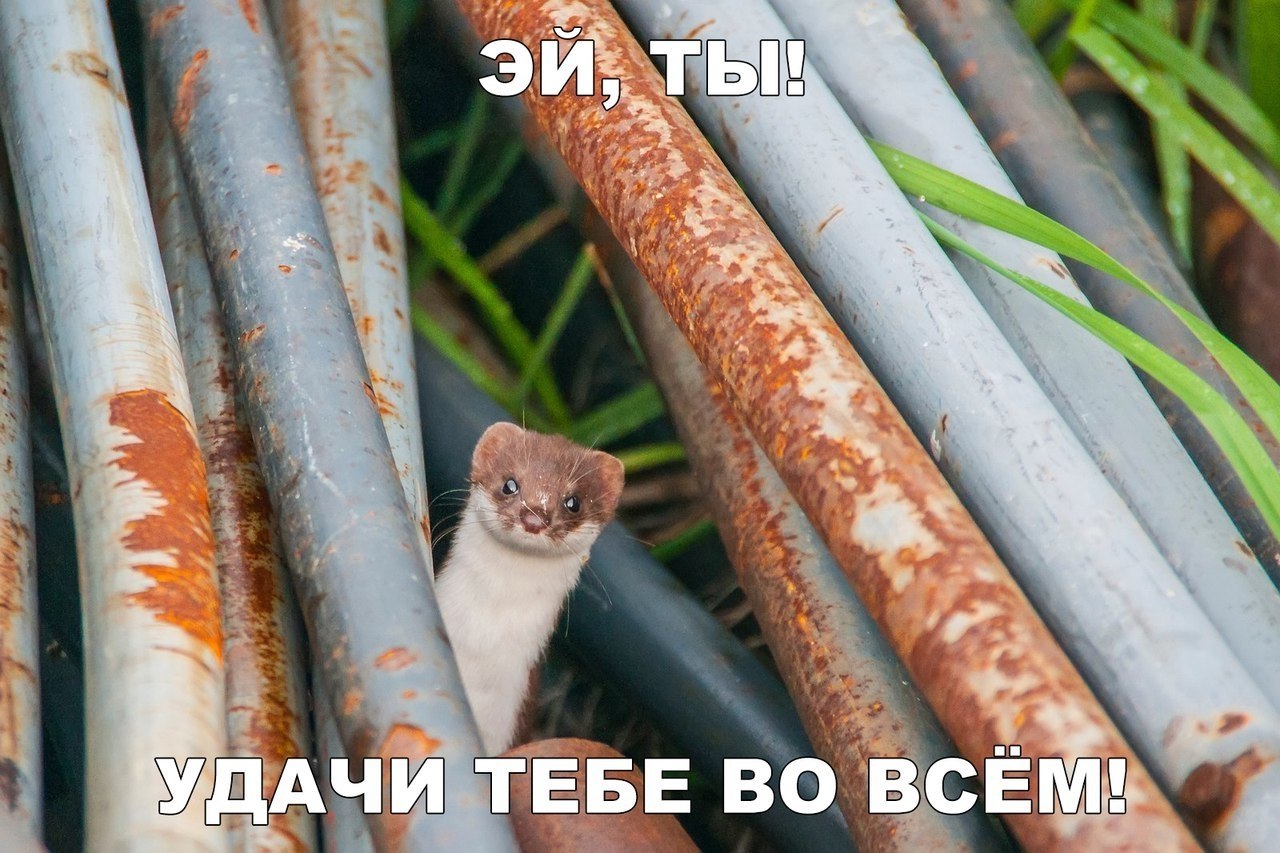    :D - 6  2017  03:39