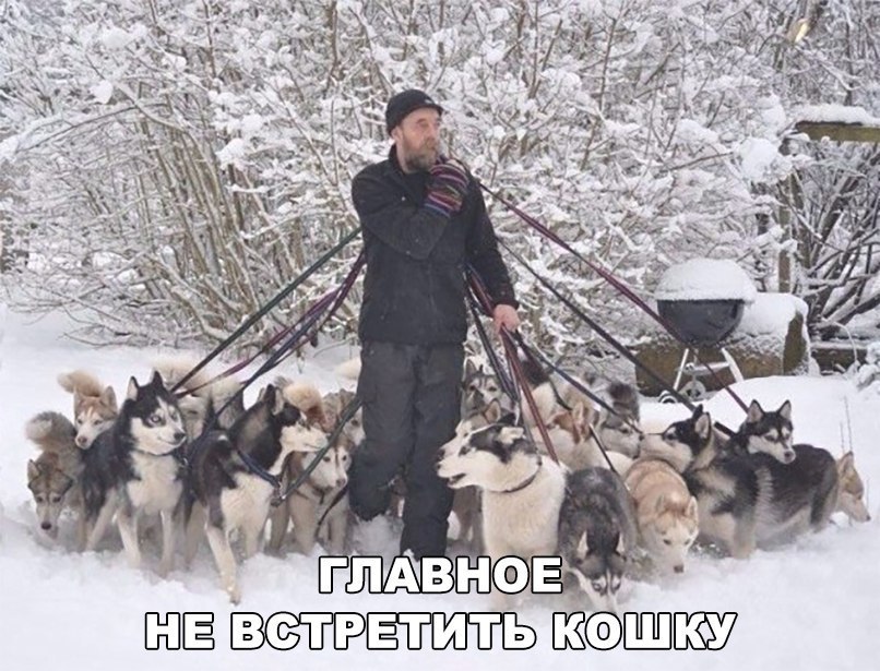    :D - 6  2017  03:39